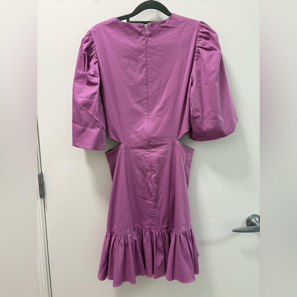 Veronica Beard Iker Cutout Ruffled Cotton-Blend Poplin Mini Dress Size 6 - Picture 4 of 13